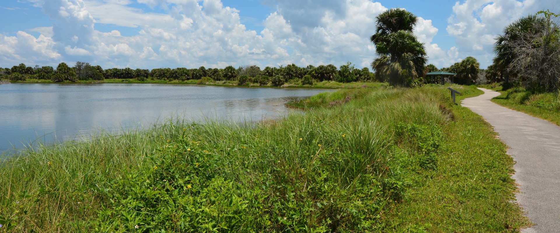 Wheelchair Accessible Trails in Panama City, Florida: Explore the Outdoors with Ease