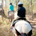 Experience the Outdoors in Panama City, Florida with Horseback Riding