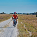 Exploring the Trails of Panama City, Florida: Is it Legal to Ride a Bike?