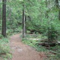 A Nature Lover's Dream: Must-Visit Trails In Panama City, Florida