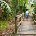Exploring the Best Hiking Trails in Panama City, Florida