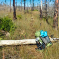 Hiking Alone in Panama City, Florida: Is it Safe?