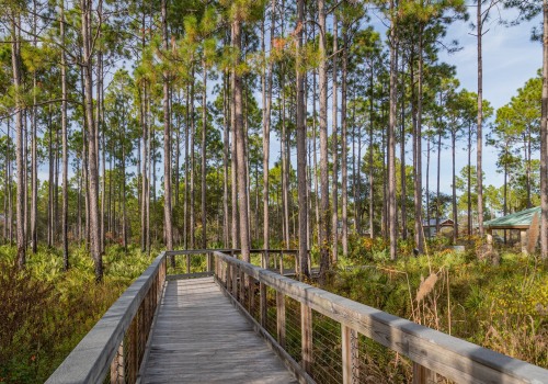 Exploring Educational Sites and Trails in Panama City, Florida