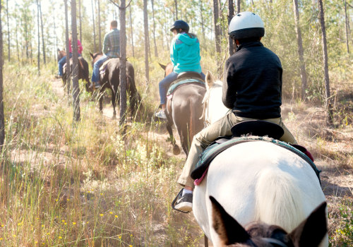 Experience the Outdoors in Panama City, Florida with Horseback Riding