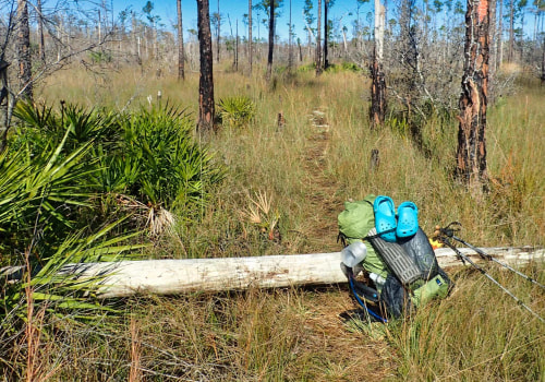 Hiking Alone in Panama City, Florida: Is it Safe?