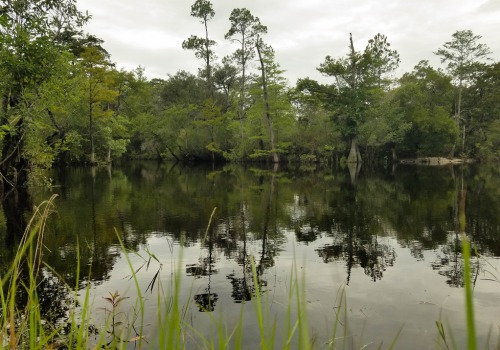 Exploring the Trails of Panama City Beach, Florida